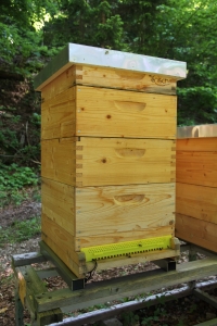 BeeSaver Bienenstockwaage