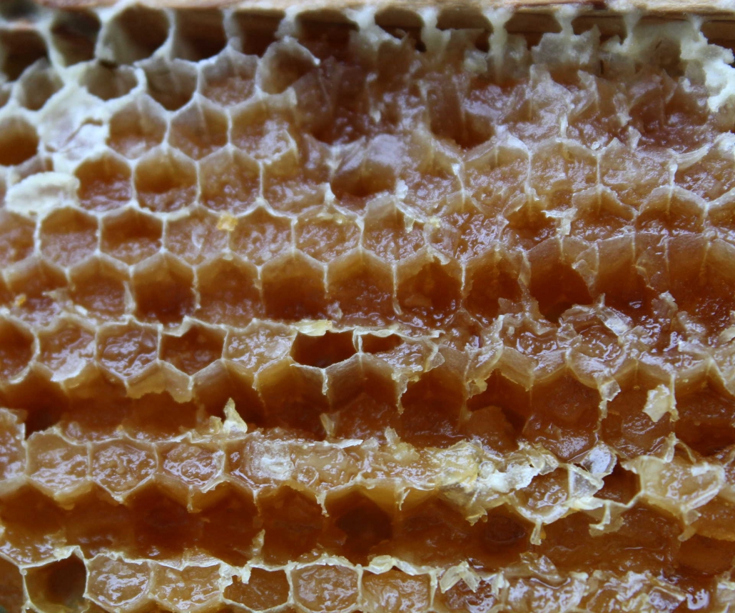 Entdeckelte Waben mit kristallisiertem Honig